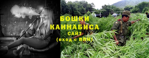 гидра Балахна