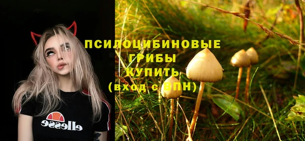 прущие крисы Баксан