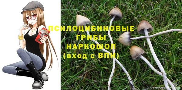 гидра Балахна